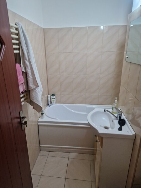 Lacul Tei, intre Parcul Circului si Parcul Tei,