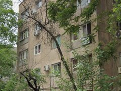 Lacul Tei, intre Parcul Circului si Parcul Tei