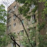 Lacul Tei, intre Parcul Circului si Parcul Tei